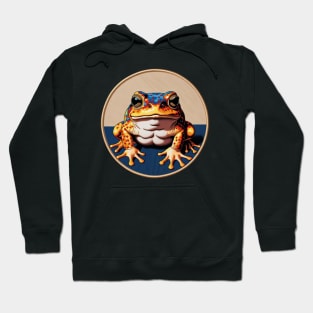 Colorful Toad Embroidered Patch Hoodie